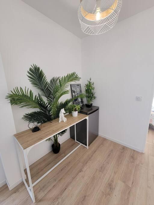 Apartamento Superbe T2 Avec Parking Albi Exterior foto
